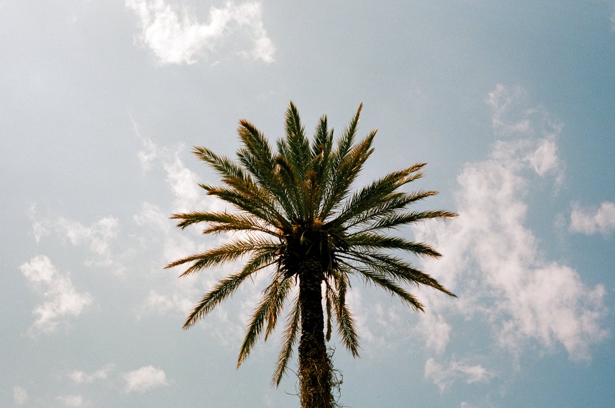 michaelboegl's tweet photo. Naples on 35mm film 🎞️ https://t.co/uWgiVEnTmB