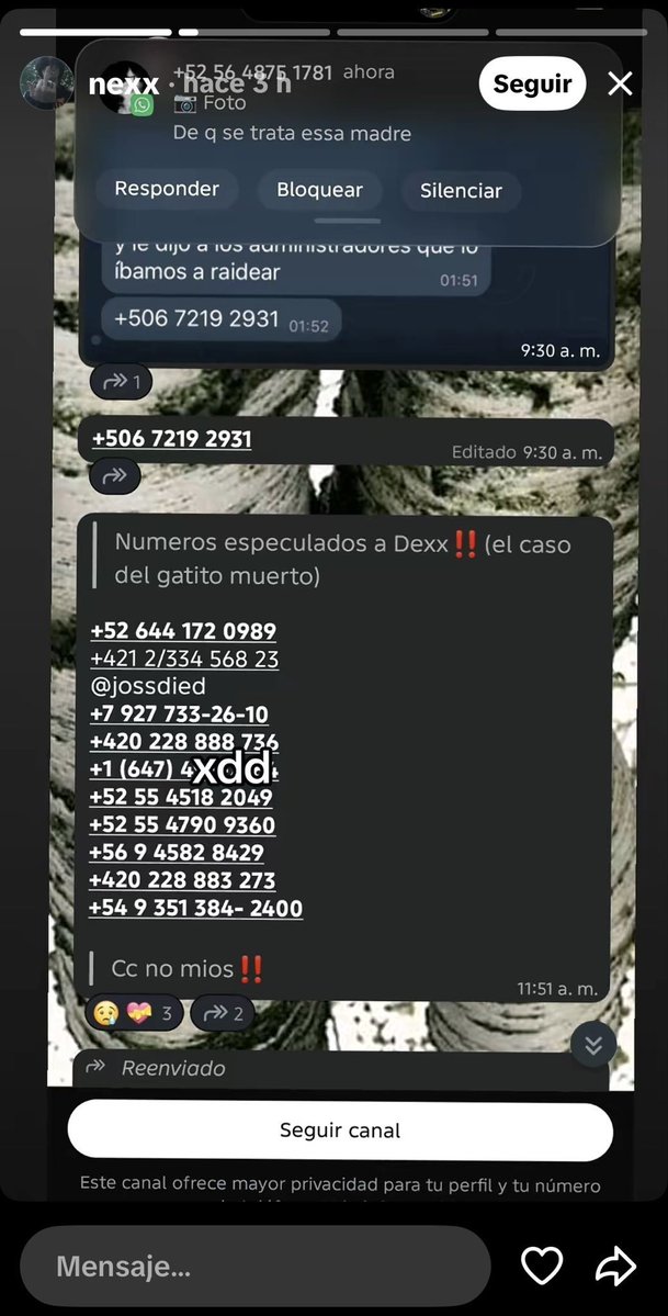_mikii0's tweet photo. Son un grupo de edgys que se dedica a esto, descubrimos que uno es de México, Sonora (el chico funado) 
+380 98 011 9345
+52 644 172 0989
Ciudad Obregón, Estado Sonora, México. 
Calle Ignacio Zaragoza 45

Ayuden a doxxear a la que se dedica a asesinarlos - la chica!! https://t.co/yhSStxtzvl