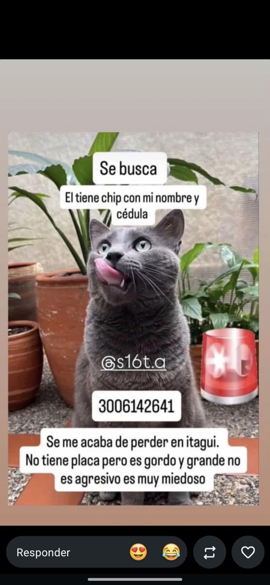 Andree_mnd's tweet photo. @musictrendscol Por favor ayudar a difundir 

VALLE DE ABURRA/ MEDELLIN, ENVIGADO, ITAGUI https://t.co/Doy2hdkcI7