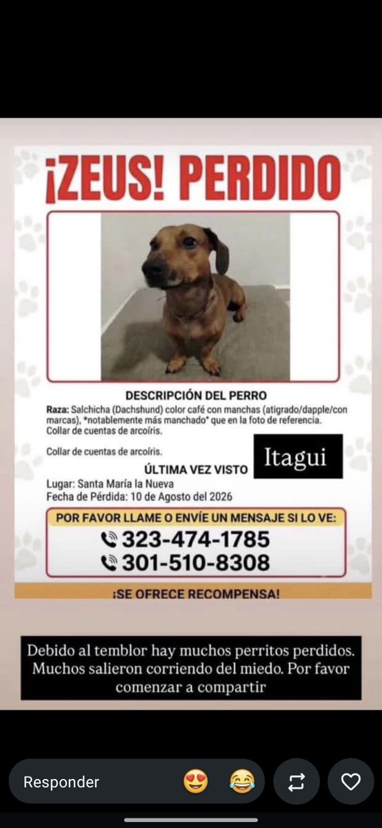 Andree_mnd's tweet photo. @musictrendscol Por favor ayudar a difundir 

VALLE DE ABURRA/ MEDELLIN, ENVIGADO, ITAGUI https://t.co/Doy2hdkcI7