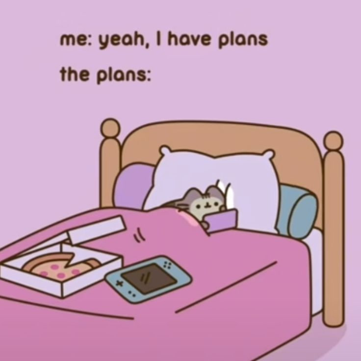 pusheencatfans's tweet photo. today is national lazy day https://t.co/PRzWo7Apkd