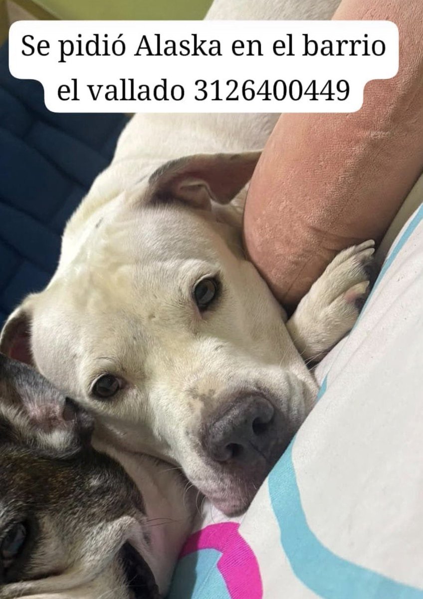 vantecosmicx's tweet photo. DIFUNDIR!!!!

Número de contacto: 3126400449 https://t.co/QxrYc1hBtT