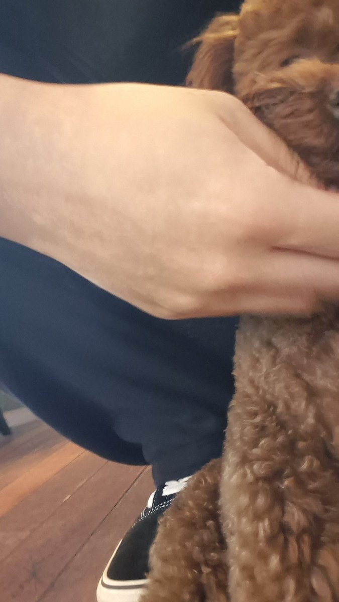 highnesshater's tweet photo. 세금이싫다
세금이싫 다
세금 야다
세금 은 싫 다
세금을 신경써야되는 나이가 된게 싫다!

하지만강아지는귀엽다 https://t.co/qiRTX4soxv