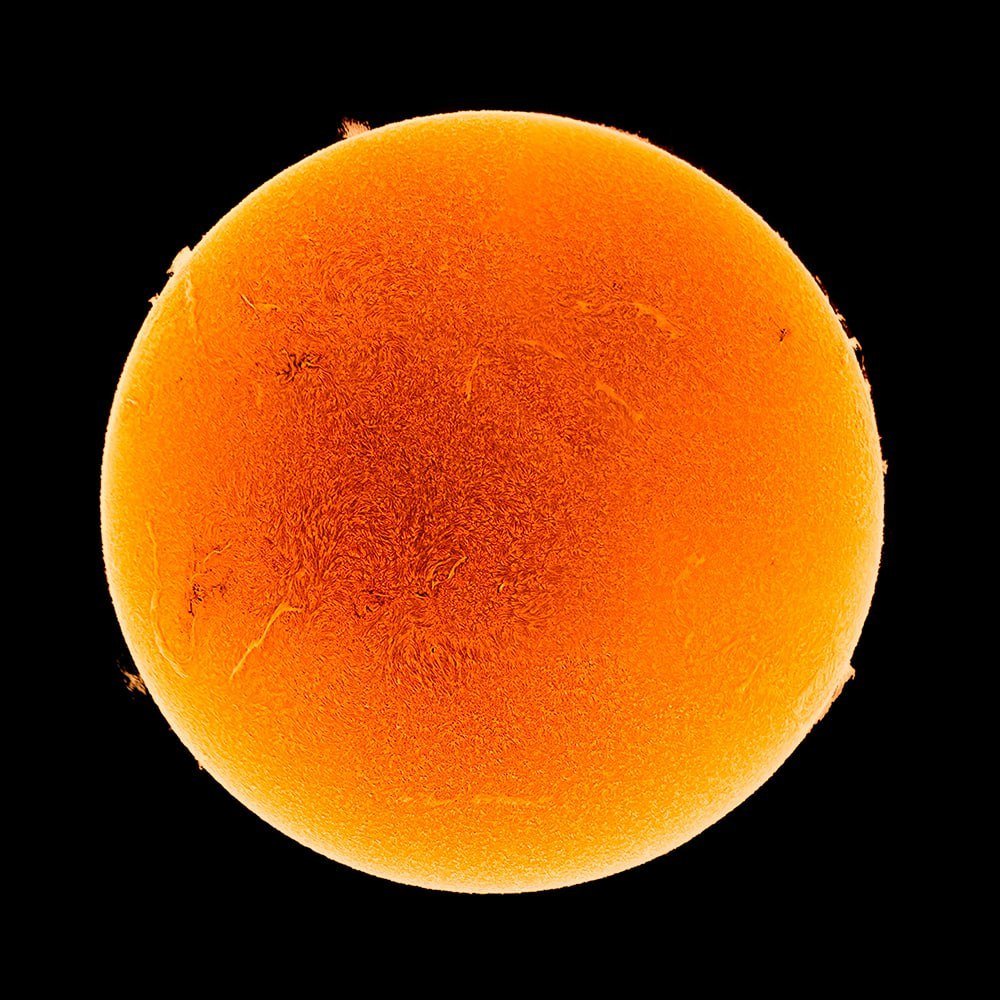 konstructivizm's tweet photo. Our Sun in H-alpha, assembled into a 6-panel mosaic. https://t.co/UyPecetcpZ