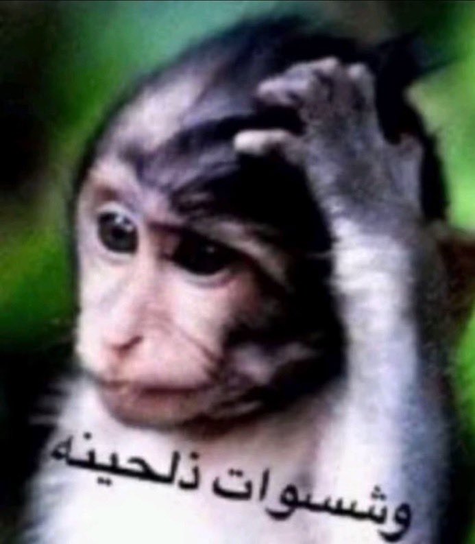 e30ili's tweet photo. لما تكون الي كاتبه مصيبه
لدرجة انهم حطوك من الذباب إلكتروني https://t.co/qgHQTcddd5