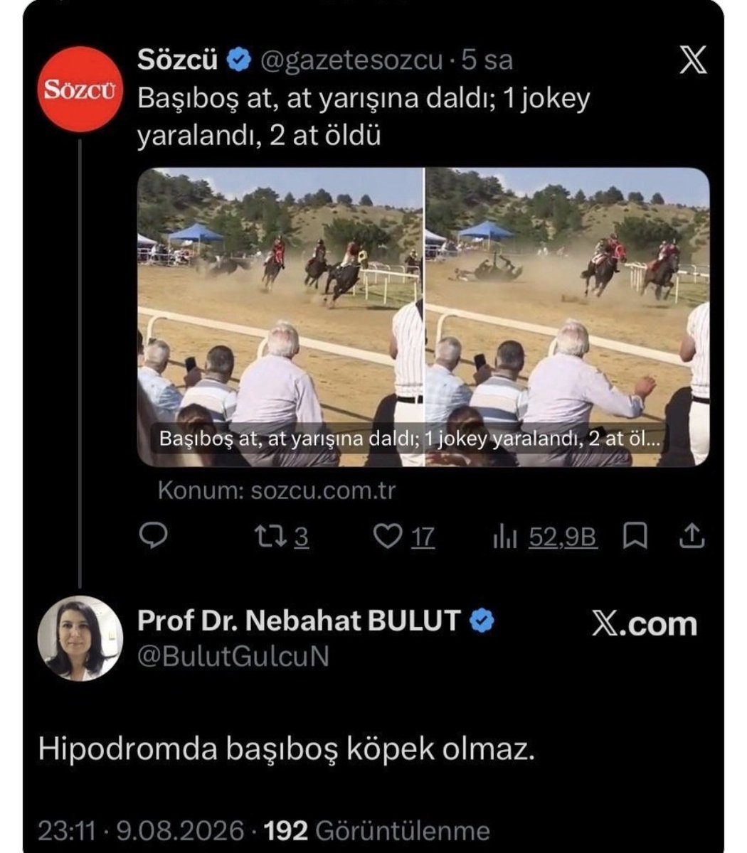 rculhalik's tweet photo. Köpeklere iftira atma telaşından beyni sulanmış🤭 'At' yazıyor 'köpek' okuyor. Yaşattığınızı yaşayın‼️
#SokakHayvanlarıSahipsizDeğil https://t.co/KAX6EB6msR