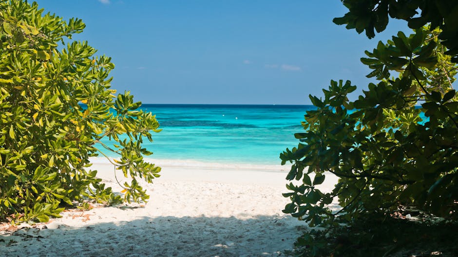 olsonruth3801's tweet photo. 熊猫总能治愈一天的疲惫感谢 Aurora 一起同行。 蜜蜂总能治愈一天的疲惫感谢 emory poortinga🌔 https://t.co/sJ5qBD083T
