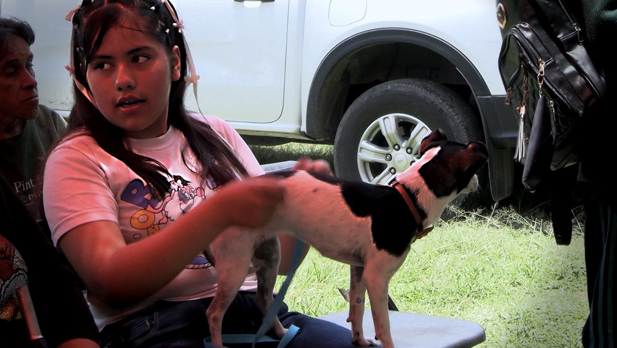 MovAntorchaTex's tweet photo. 🐶🐱 Gracias a la gestión de @AntorchaOficial, vecinos de la colonia Víctor Puebla participaron en una jornada gratuita de esterilización de mascotas. Estas acciones fomentan la tenencia responsable y contribuyen al bienestar de la comunidad. #Texcoco #Antorcha https://t.co/b1szsUOo5j