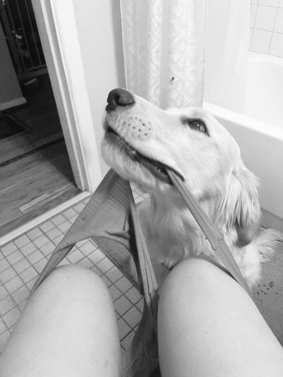 Jaunslut's tweet photo. Are you a k9 lover? My dog goes deeper inside me on cam 📷🐶🐕🔞 DM Via telegram 
https://t.co/tWsapNedAb
#zoosarevalid #beastiality #zoopride #dogknot #zooprideisvalid #zoophile #k9girl #hypnotistzoophilesarevalid #zoophiletwt #zootwt #zoopositivity #dogknot #grope https://t.co/50EkevA4YE