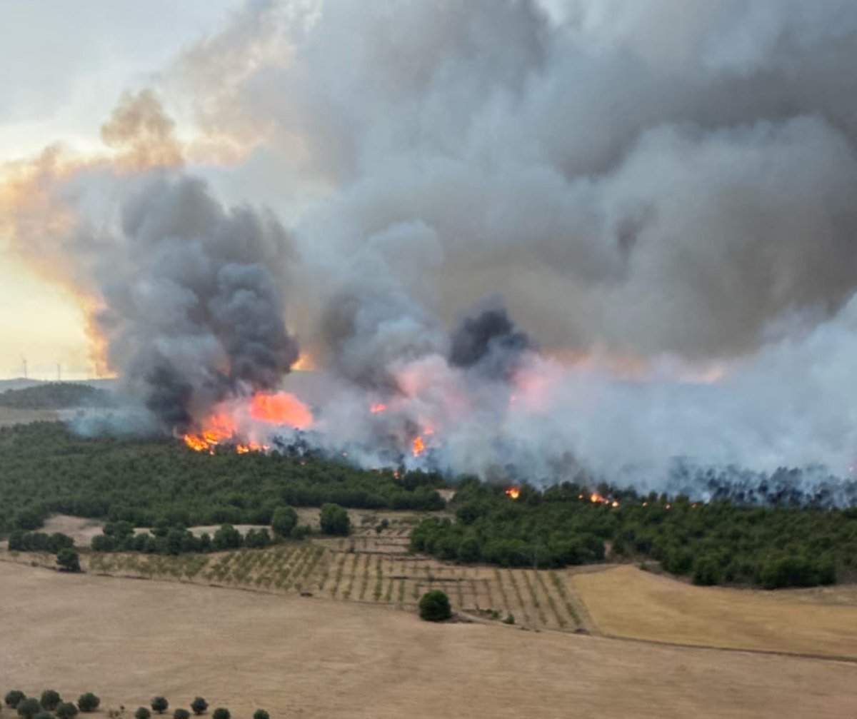 112rmurcia's tweet photo. Servicios de emergencias trabajan en un incendio forestal en el Cerro Maestre, #Jumilla.
INTERVIENEN:
🚒 Brigadas Forestales
🚒 Bomberos CEIS
🚁 Helicópteros de la DGSCE 112
🚁 Helicóptero cedido por Castilla-La Mancha
🚁 Helicóptero del MITECO
https://t.co/N1GRueW6f4 https://t.co/Bumlg6LuHg