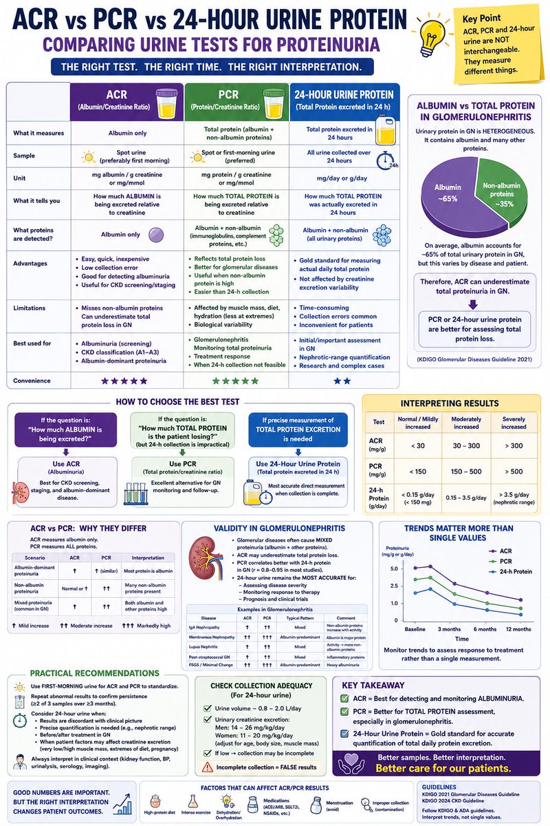 Abdelhamed6261's tweet photo. Proteinurea ACT, PCR &amp; 24 H urine for proteinurea https://t.co/YMlPcXisDe