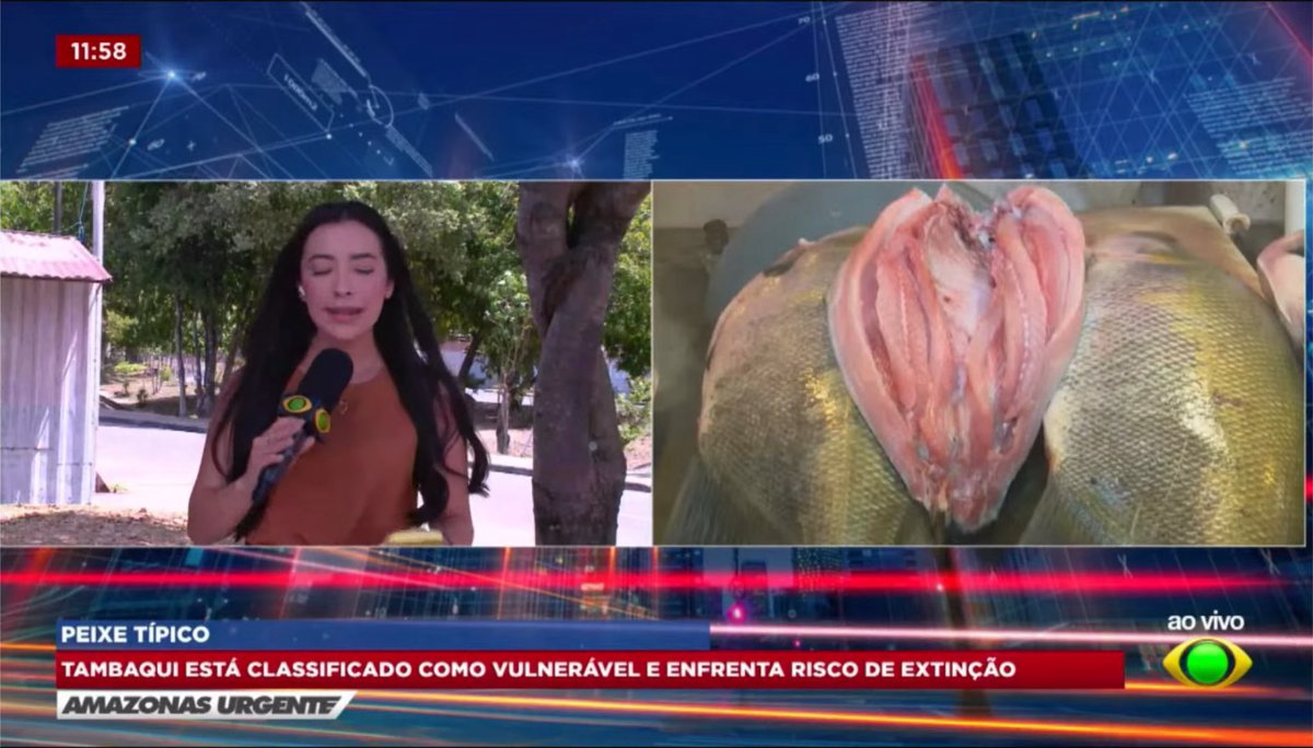 MidiaAmazonas's tweet photo. E a Band Amazonas que ainda não padroniza sou o Amazonas urgente e o Brasil Urgente edição Amazonas, e ainda exibem o GC antigo apenas nas reportagens gravadas, quando é ao vivo eles utilizam um Gc improvisado. https://t.co/VV1LbKgZfu