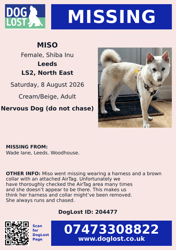 millypod1's tweet photo. 🆘8 AUG 2026 #Lost Miso #ScanMe #STOLEN??
Shiba Inu Female
Wade Lane #Leeds #Woodhouse #LS2
#WestYorkshire
Wearing a harness and a brown collar with an attached AirTag. (Airtag was found with some homeless people)
LOCAL HELP NEEDED😢
https://t.co/8UADKG1ER0 https://t.co/B5yFfXm0cY