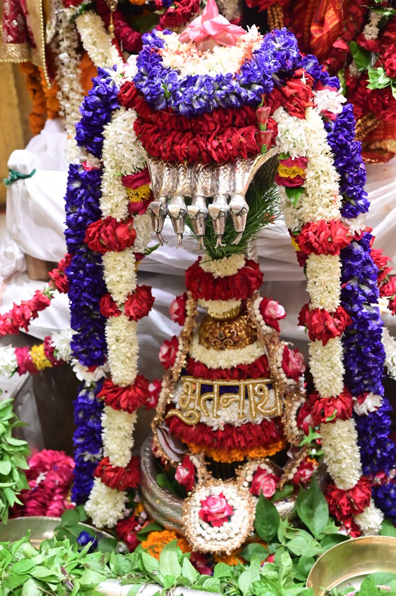 ShriVishwanath's tweet photo. श्रावण मास द्वितीय सोमवार(प्रदोष सोमवार), शयन आरती दर्शन
#kashivishwanath #kashi #VishwanathDham #sanatandharma #hindu #Sawan2026 https://t.co/pdR3hE9BQm