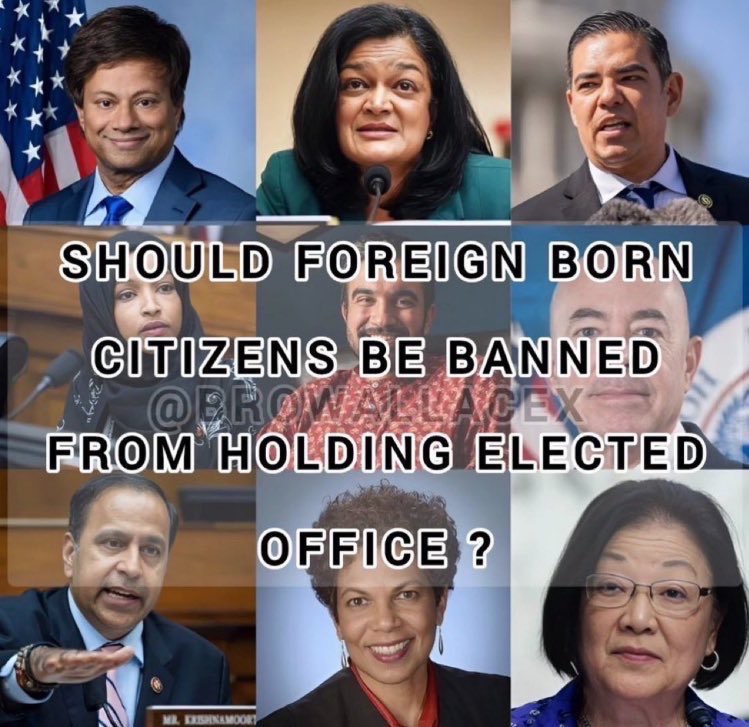 PeriklesGREAT's tweet photo. Should the foreign born be banned from Congress ? 

a. Hell Yes 
b. No https://t.co/p0VEMTJjdM