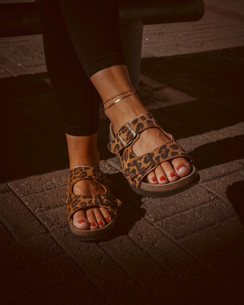 msLacies's tweet photo. These little #feet are at work again... https://t.co/hxC4hQsjh2
