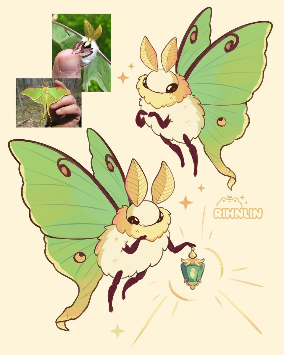 rihnlin's tweet photo. Luna moth🌙 https://t.co/DsQWN3ogrO