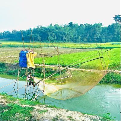 suman_alahi's tweet photo. #NewProfilePic https://t.co/pZ5g6SFlAC