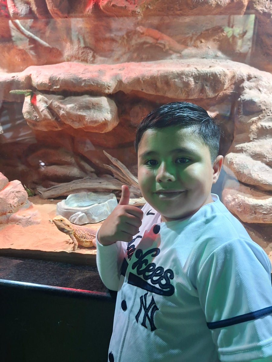 ANSeRiap's tweet photo. ¡Un viaje al fondo del mar sin salir de la ciudad! 🦈🐬 Las niñas,  niños de @ANSeRiap  y sus familias vivieron un día mágico lleno de sonrisas en el Acuario Michin. 🌊

¡Momentos de pura alegría que nos impulsan a seguir!💛 
 #ActitudNoMeRindo #CáncerInfantil #AcuarioMichin https://t.co/TkGe2SNXzN