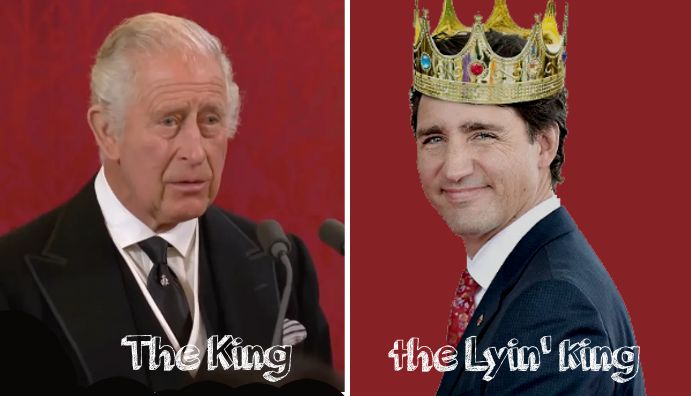 Albirdly2's tweet photo. @MrStache9 And Trudeau was going to plant a billion trees, not just the one pot plant in the Residential Garden. And provide "affordable Housing" for all Canadians! - he just forgot to mention "affordable Housing" means homeless tent encampments in every city in Canada. https://t.co/aPjtk5IApW