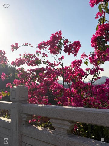 edi_juarez's tweet photo. Secluded, tranquil swimming facilities block out outside sounds and distractions, fostering a concentrated and all-enveloping athletic environment. 🛟Honeyed rose tea, served warm. https://t.co/C2qDQfZbl4