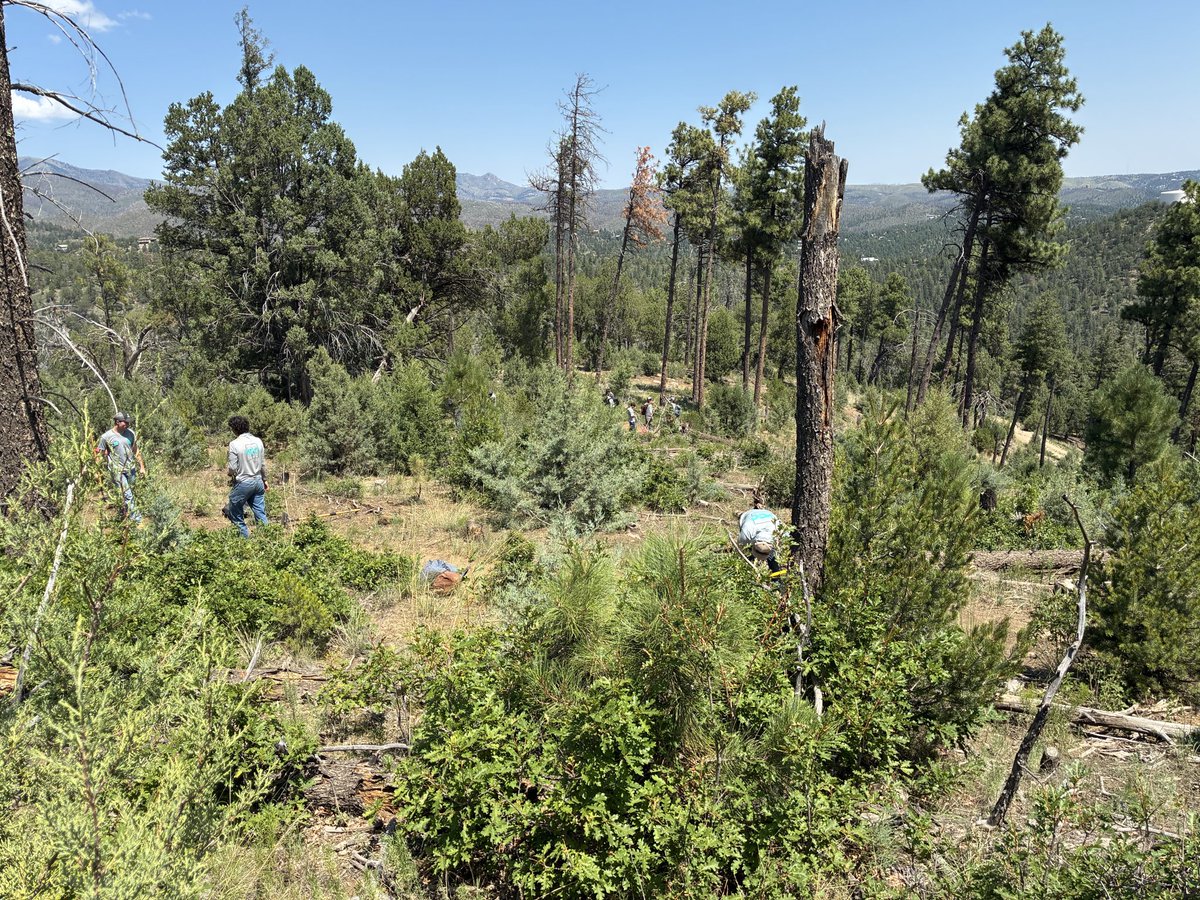 Ecoservants's tweet photo. NM Youth Conservation Corps working on Grindstone Connector trail today #NMYCC #CNCS #AmeriCorps #NationalServiceWorks https://t.co/L2VFWJSEsQ