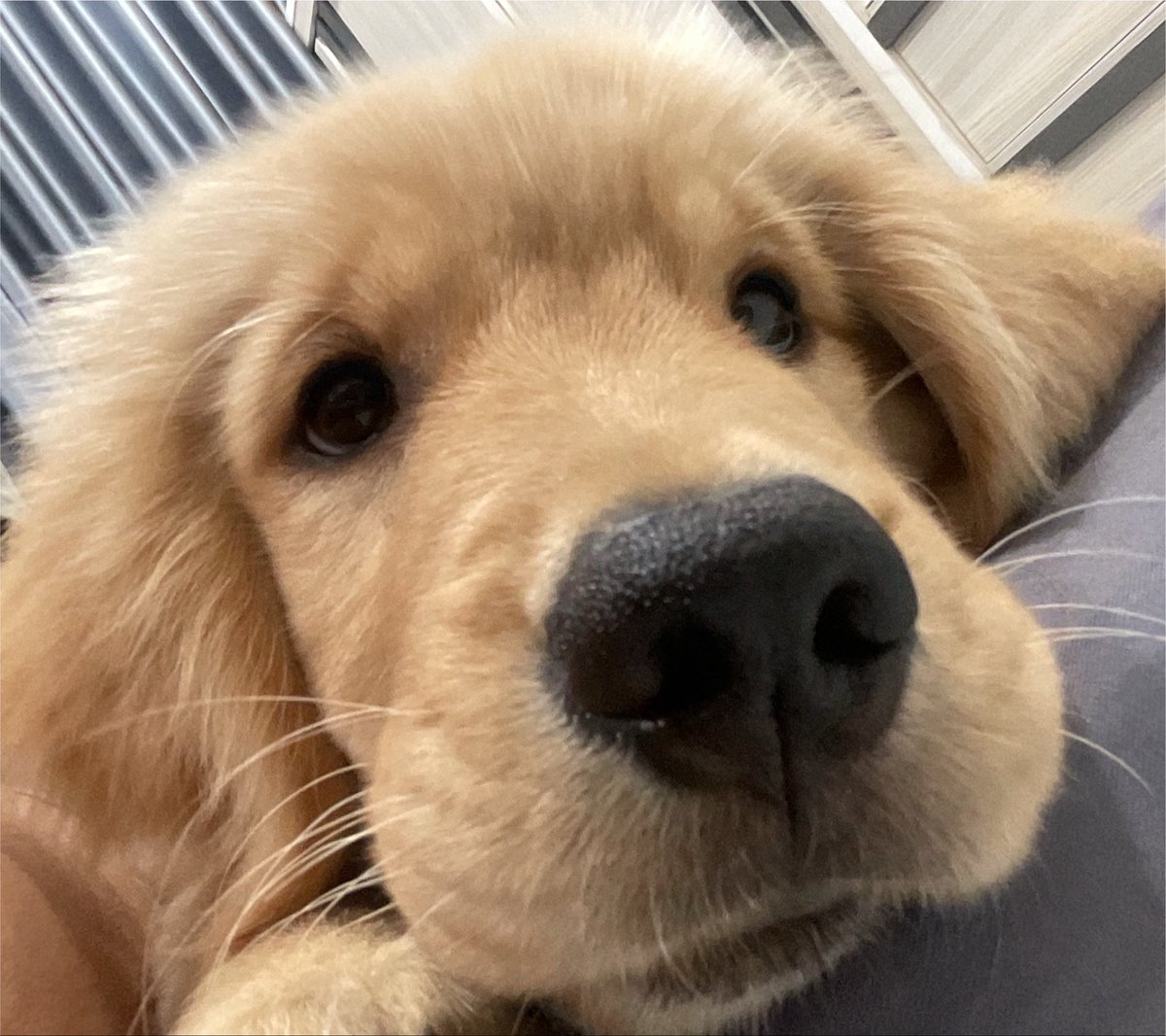 qustcr0's tweet photo. ตาใสไม่นอน https://t.co/T2RadTZiTS