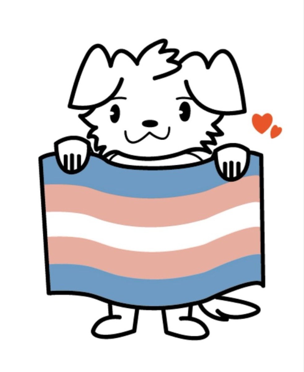 The_YBCO's tweet photo. here's your bi monthly reminder to show some love to your trans friends and family <3 you guys are awesome https://t.co/eAIUTLK5Pv