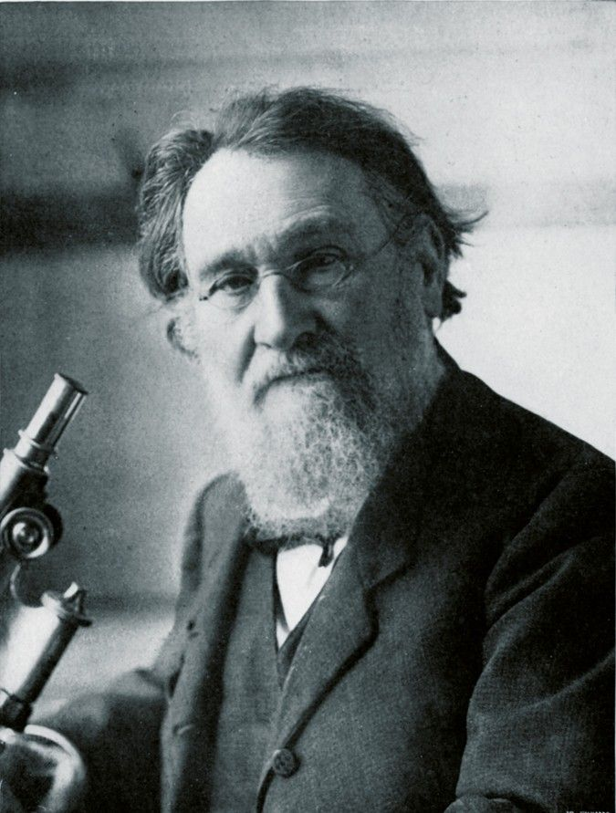 manita_x's tweet photo. Przyczyna źródłowa chorób autoimmunologicznych i przewlekłego stanu zapalnego została odkryta w 1908 roku.

Rosyjski lekarz, który to udowodnił, otrzymał Nagrodę Nobla, ale jego odkrycie było ignorowane przez dziesięciolecia przez przemysł farmaceutyczny i związany z postami.

Oto, co odkrył dr Élie Metchnikoff:

„Śmierć i choroba zaczynają się w jelicie grubym”.

Metchnikoff odkrył, że gdy bariera jelitowa ulega uszkodzeniu, rozłożone bakterie i toksyny (LPS) przenikają bezpośrednio do krwiobiegu.

Nazwał to zjawisko „autointoksykacją”.

Dziś współczesna medycyna uznaje je za zespół nieszczelnego jelita (Leaky Gut).

Twoje białe krwinki „wariują” z powodu nasycenia endotoksynami.

Gdy ciasne połączenia w jelicie zawodzą, bakteryjne endotoksyny dostają się do krwi 24 godziny na dobę.

Twój układ odpornościowy nie „myli się” ani nie atakuje Cię bez powodu – po prostu jest przeciążony, próbując oczyścić ciągły toksyczny wyciek pochodzący z Twojego trawienia.

Endotoksemia metaboliczna niszczy stawy, tarczycę i mózg.

Jeśli te toksyny dotrą do tarczycy, powodują Hashimoto; jeśli do stawów – artretyzm; jeśli przekroczą barierę krwi-mózg – mgłę mózgową i depresję.

Problem nie leży w dotkniętym narządzie: problemem jest tylna furtka Twojego jelita, która pozostaje otwarta.

Glutamina i cynk-karnozyna: paliwo do naprawy jelit.

Twoje enterocyty (komórki jelita) regenerują się co 3–5 dni, ale potrzebują właściwych materiałów budowlanych, aby uszczelnić przecieki.

L-glutamina to podstawowy aminokwas, który odbudowuje błonę śluzową jelita, podczas gdy cynk-karnozyna naprawia uszkodzone połączenia komórkowe.

Dlatego zacząłem codziennie przyjmować L-glutaminę z cynkiem-karnozyną.

To połączenie, którego używają gastroenterolodzy integracyjni, aby odwrócić przepuszczalność bez polegania na immunosupresantach.

Spędziłem tygodnie na poszukiwaniu czystej formuły, bez sztucznych słodzików i wypełniaczy, które dodatkowo podrażniają.

Rosół kostny i związki gorzkie to hamulec ręczny.

Eliminacja przetworzonych olejów z nasion, glutenu i rafinowanych cukrów zatrzymuje atak na ścianę jelita.

Jednocześnie post trwający 14–16 godzin daje błonie śluzowej czas potrzebny na zmniejszenie stanu zapalnego i zagojenie.

Niewygodna prawda stojąca za odkryciem Metchnikoffa:

Nie da się opatentować rosołu kostnego, glutaminy ani eliminacji ultraprzetworzonej żywności.

Sprzedaż leków biologicznych, które na całe życie wyłączają układ odpornościowy, to biznes wart miliardy.

Uszczelnienie przecieku jelitowego u źródła… eliminuje klienta.

Czy doświadczyłeś objawów takich jak wzdęcia, mgła mózgowa lub bóle stawów bez wyraźnej przyczyny?