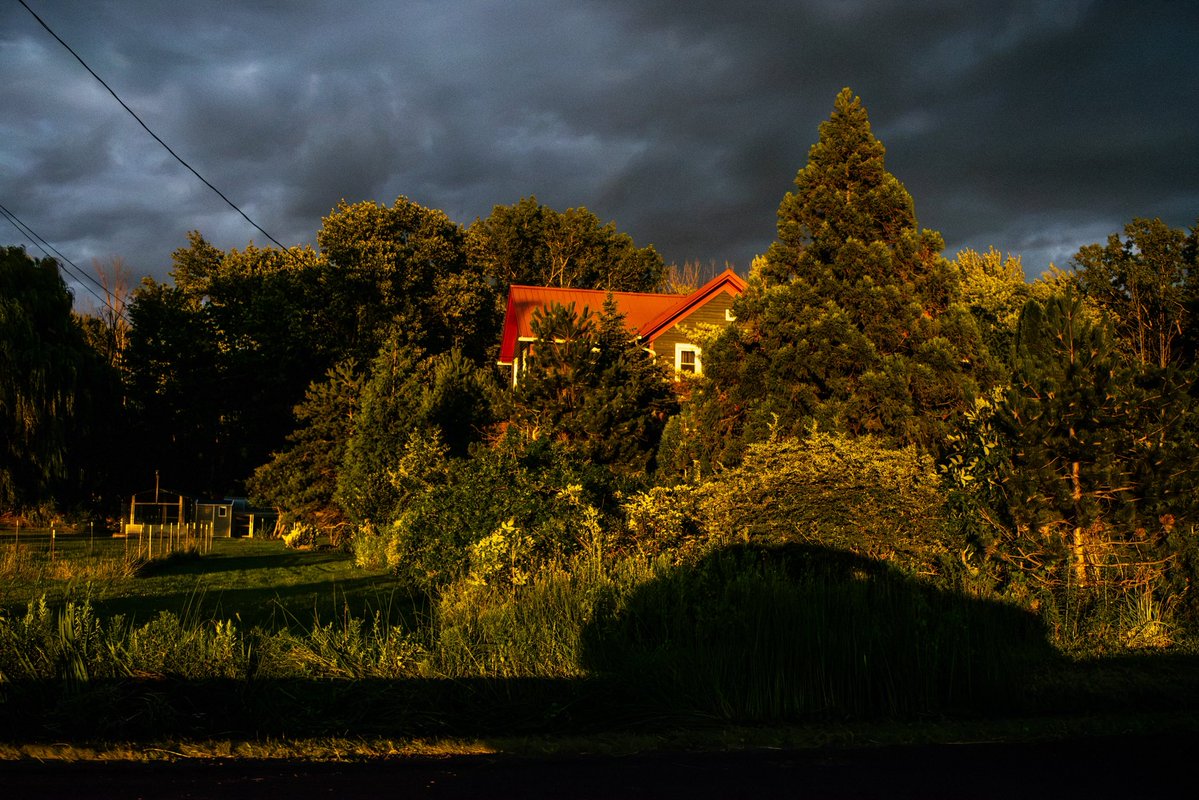 DeathAngelUSA's tweet photo. i had never seen a golden hour quite like this https://t.co/RQUNhEXy6d