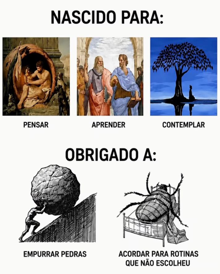memes_horriveis's tweet photo. https://t.co/8TaEVD9NG5