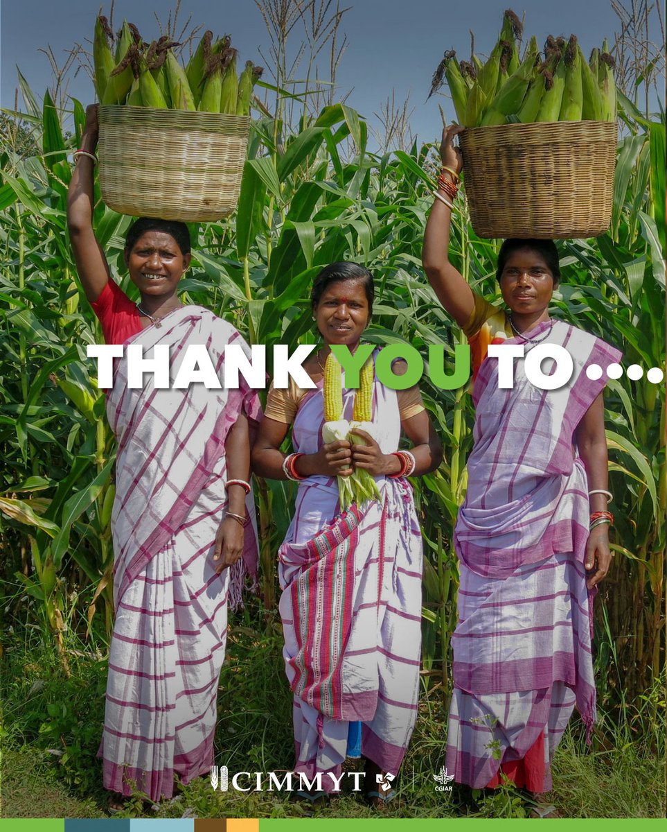 CIMMYT's tweet photo. 🌱 We thank everyone who helps bring food to our tables. Yet 266 million people in countries facing crises still face food insecurity in 2026.

You can be an ally: https://t.co/sI2PPcf584 https://t.co/bQgrDECZf1