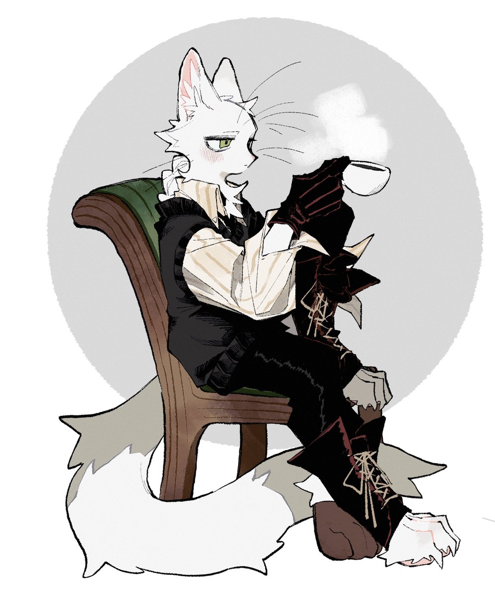 aburagura's tweet photo. 息抜き🐱☕️ https://t.co/n94ZNFTUT6