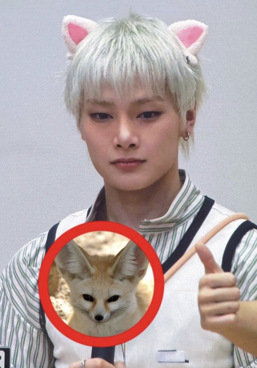 mysoulkimtae's tweet photo. HYUNIN FOXIRET 🐾 https://t.co/pZ7AiShCmp