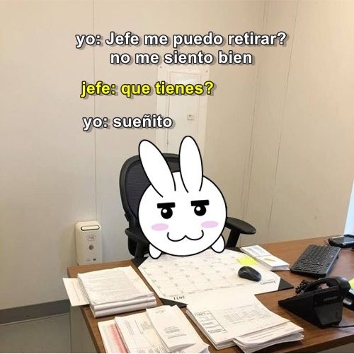 diotowers's tweet photo. Lunes de chambear 🐰💼 https://t.co/omzOl5UHVu
