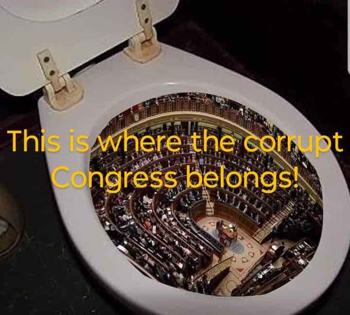 PaulTollefson4's tweet photo. @Sassafrass_84 Too bad our Congress will act the same way! It's time to flush the toilet and start brand new! ZERO incumbents returning to the Congress!

Some will say how will they figure it out! Our founding fathers figured it out! Were people more intelligent 250 years ago than they are now? https://t.co/703Z2DGXqZ