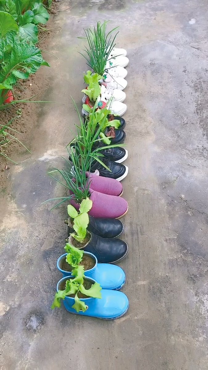 TiffanyMiddle19's tweet photo. [Turn an old mason jar into a chic herb planter! No fancy skills needed  Perfect for brightening up your small balcony] https://t.co/uyxECTTKPI