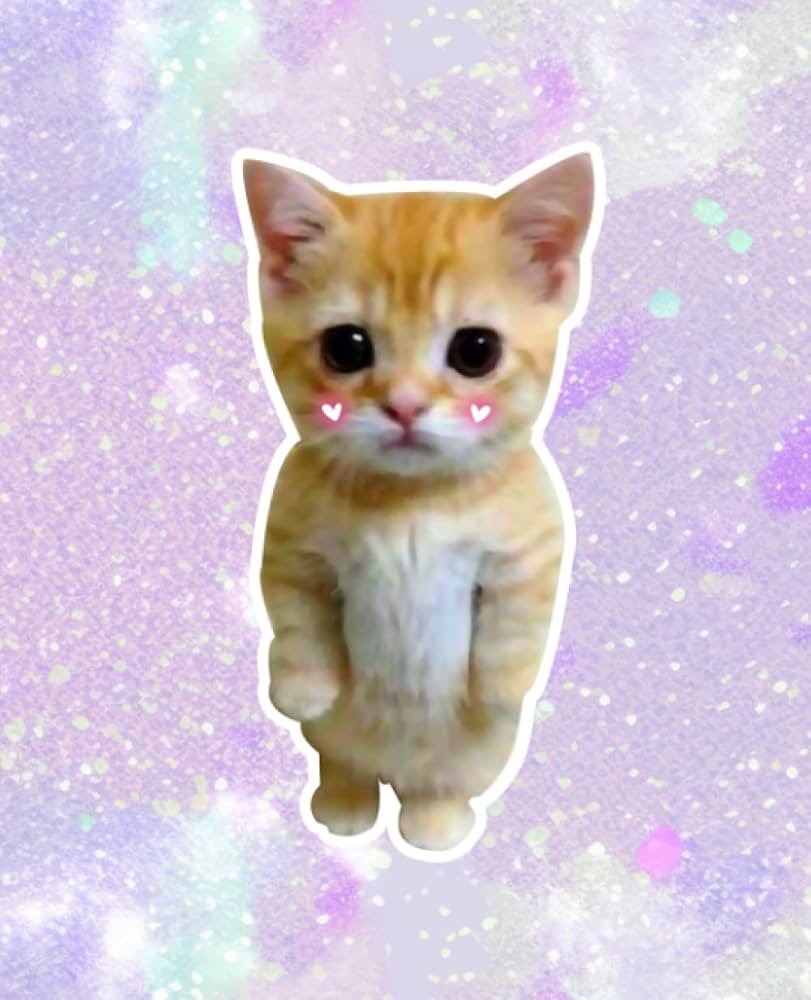 itakeprofit2x's tweet photo. @artsch00lreject I see a cute cat token ready to be the catalyst for the memecoin supercycle 💖 https://t.co/THfRmxpZP6