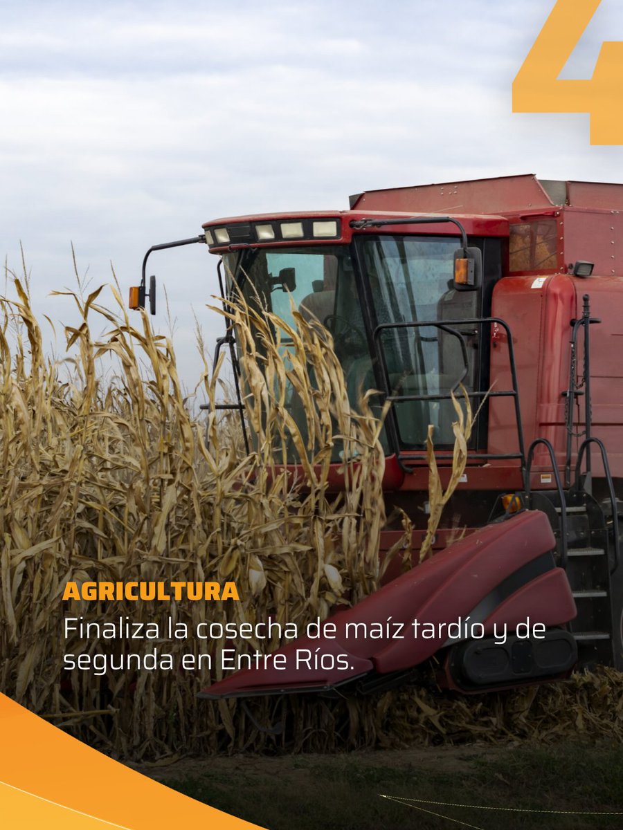 Expoagrocom's tweet photo. 🌾 Las 4 noticias destacadas del agro
Producción regenerativa, el futuro de la Argentina y la cosecha de maíz: repasamos los temas que marcaron la agenda del sector esta semana.
👉 Deslizá y conocé las noticias.
#Expoagro #Agro #Campo #NoticiasDelAgro https://t.co/DBHeHqSTPY