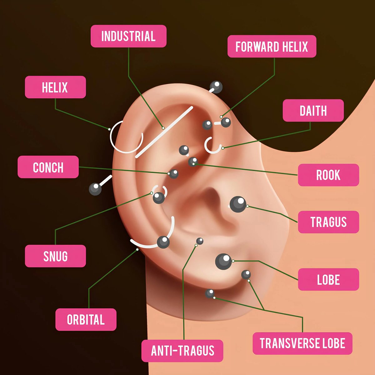 toothbrush224's tweet photo. This is what I use to reference piercings btw #NeverGatekeep https://t.co/8eizMdE5r7