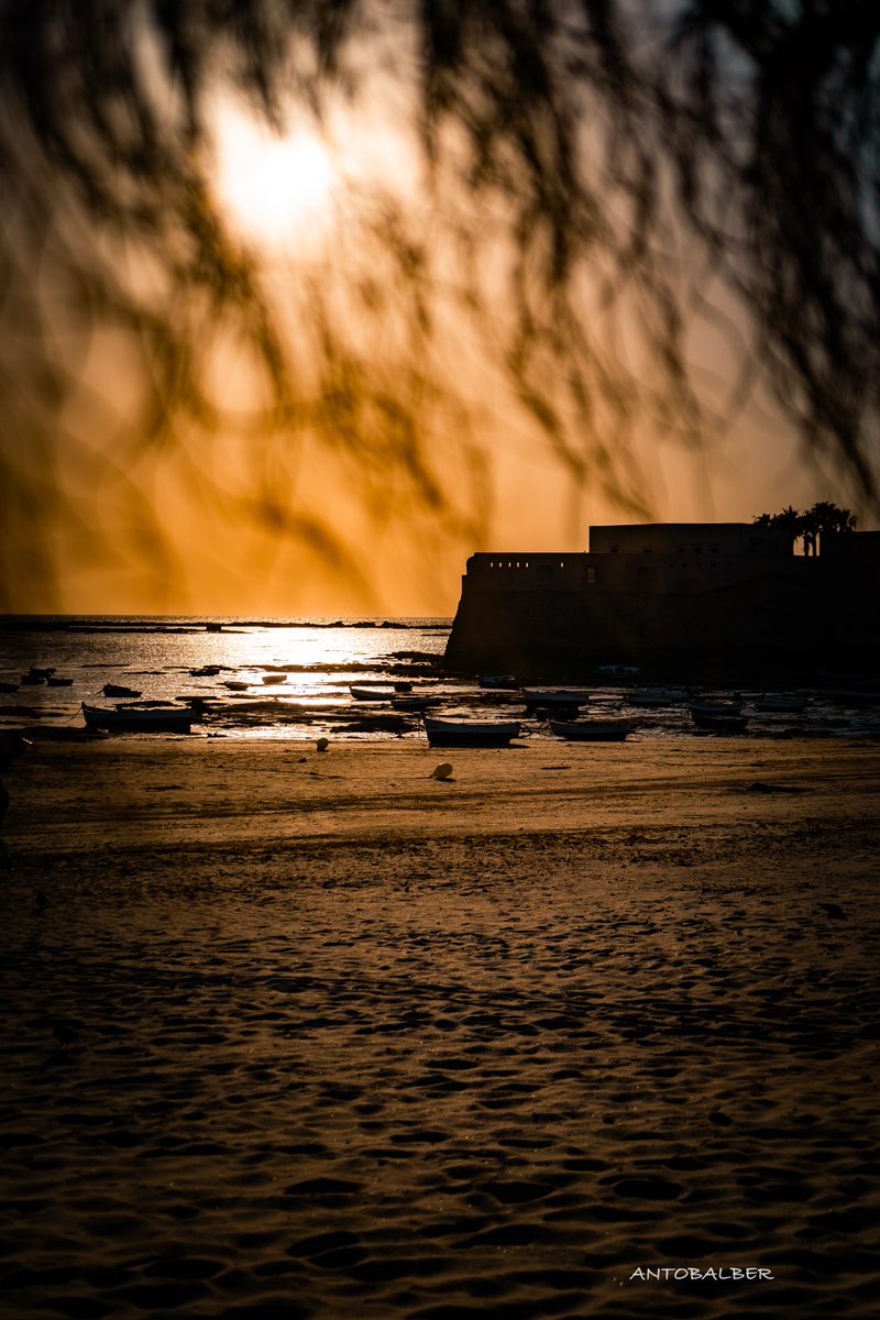 antobalberphoto's tweet photo. Así es Cádiz desde mi objetivo. 📸📸📸🌅🌅🌅 https://t.co/9z5czh5I2w