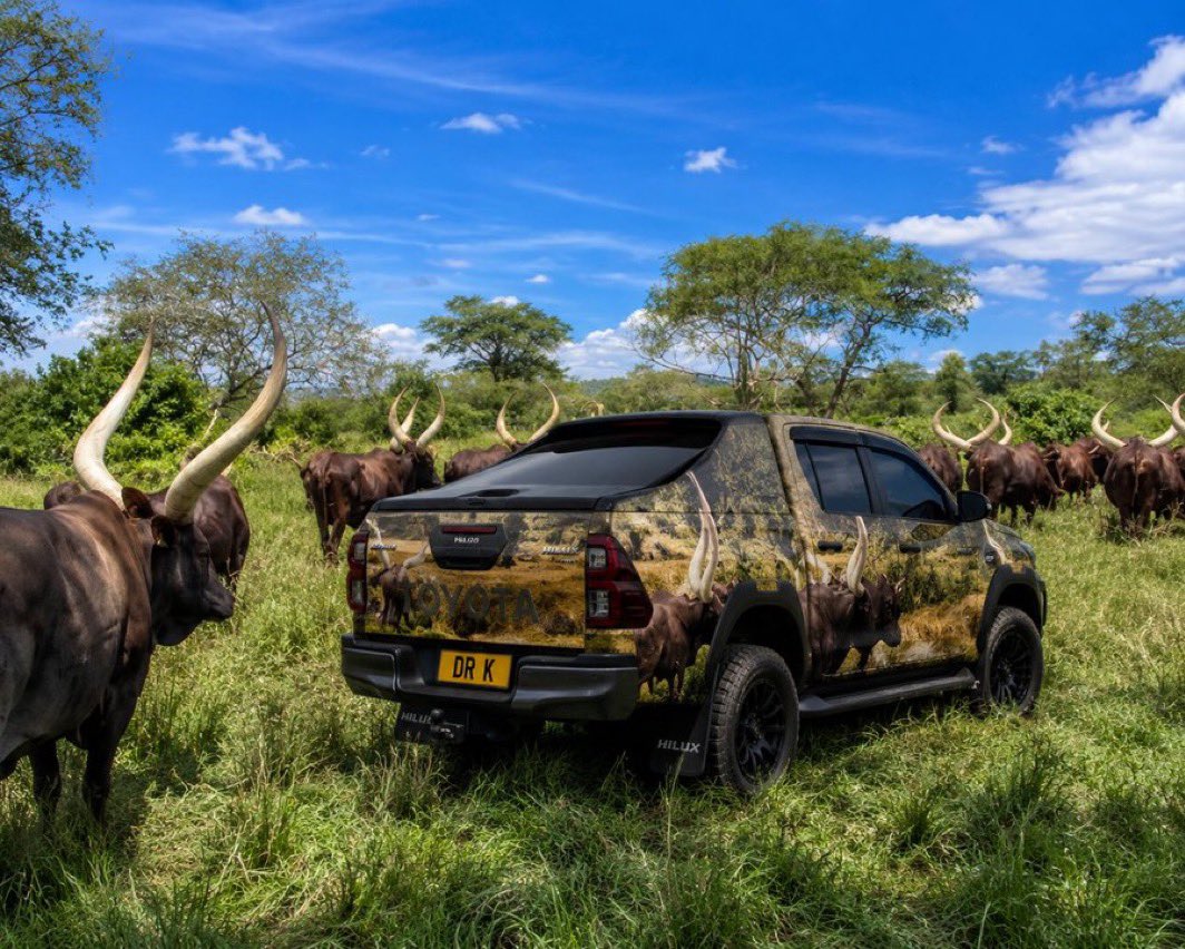 RonardKaku36880's tweet photo. This is one of my favourite builds π₯
Toyota Hilux fully wrapped in my custom cows print.From the horns to the savanna vibes -everything on this bakkie is pure attitude.
Who else loves a unique wrap like this? Drop a β€οΈ if youβd drive it!
#ToyotaHilux #Hilux #CustomWrap #CowPrint https://t.co/2ulhXJ7xq6