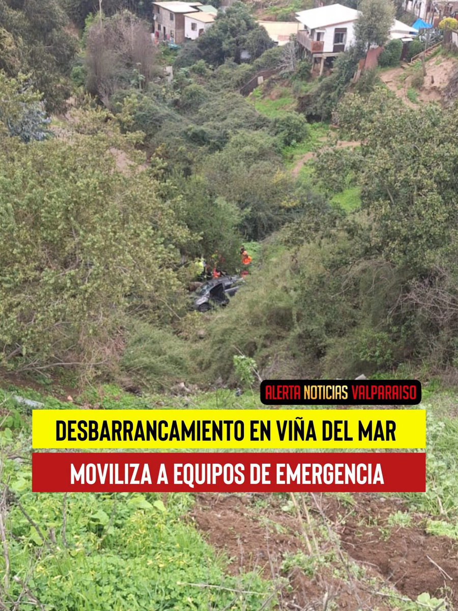 AlertaNoticiasV's tweet photo. Un desbarrancamiento de un vehículo menor se registra a esta hora en el sector de Forestal en la comuna de Viña del Mar, específicamente en la intersección de calle Viña del Mar con Arica.

De acuerdo con información preliminar, el automóvil habría desbarrancado aproximadamente 40 metros, movilizando a unidades de emergencia hasta el lugar.

De manera preliminar, una persona se encontraría lesionada producto del accidente. Equipos de rescate trabajan en el sitio para evaluar la situación y asistir a la persona involucrada.