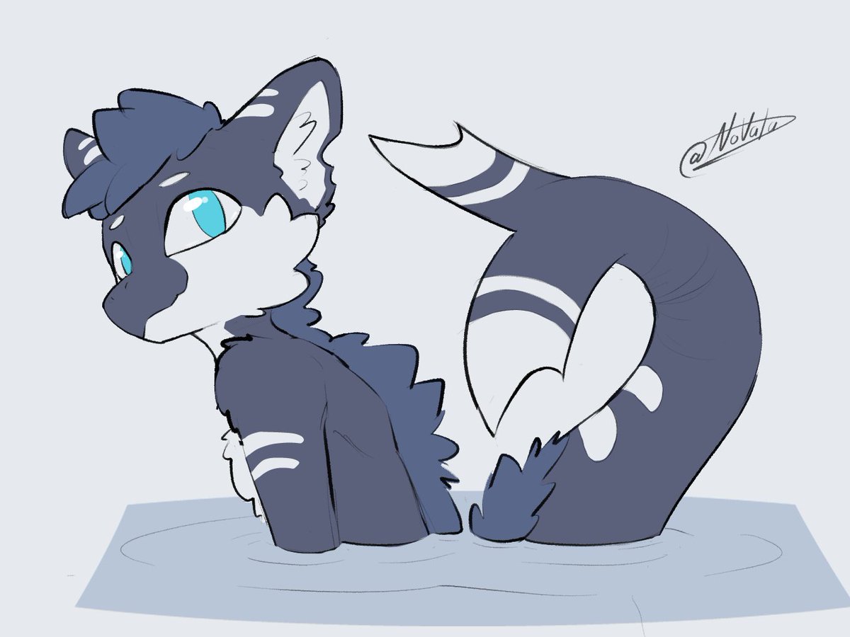 novada_drawing's tweet photo. bday gifts for these 2 gay avali dragon shark things 

right one for @Holidalo :3 https://t.co/X91jL1YkMS
