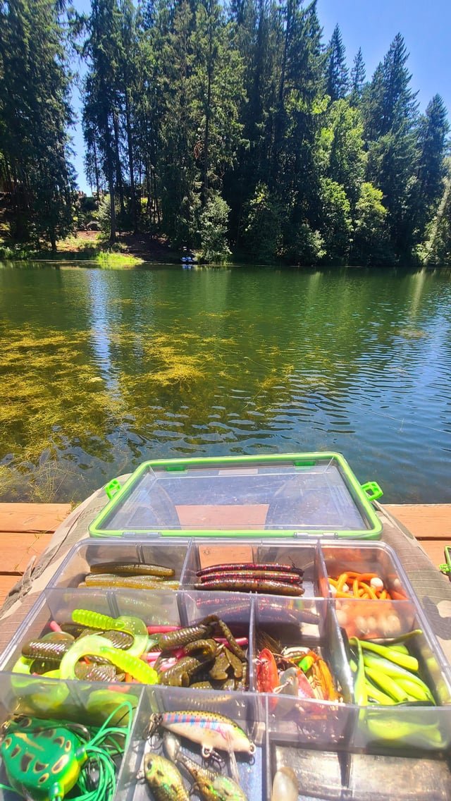 HndWlfAlpha's tweet photo. Perfect day for some fishin 🎣 https://t.co/MhGAyG4r1L