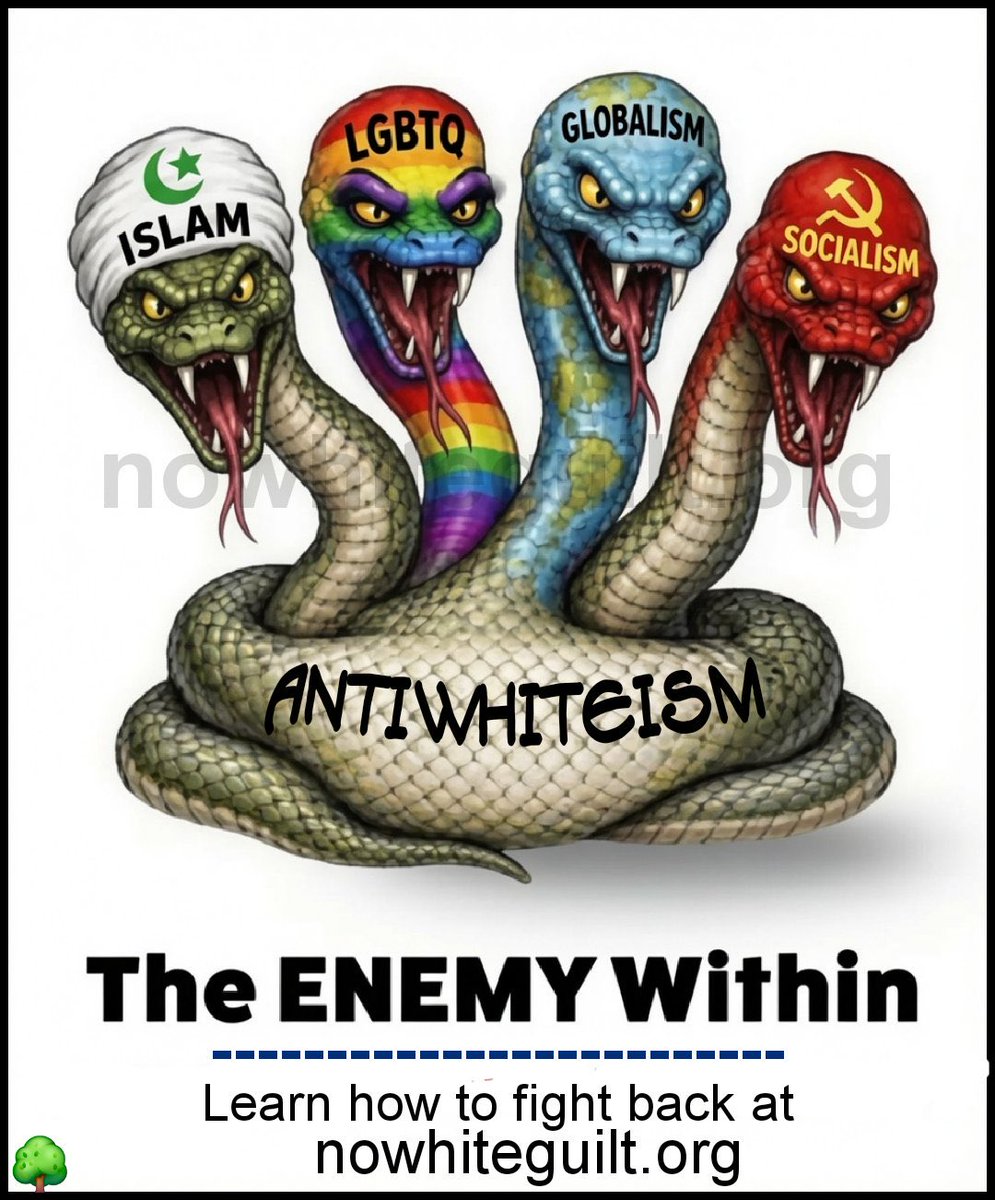 thewestmans1247's tweet photo. @Brookltnwilliw Not a surprise he is antiwhite and will say and do anything to destroy Western civilization. Antiwhiteism main objective is biological White erasure. https://t.co/zt7zagThsT