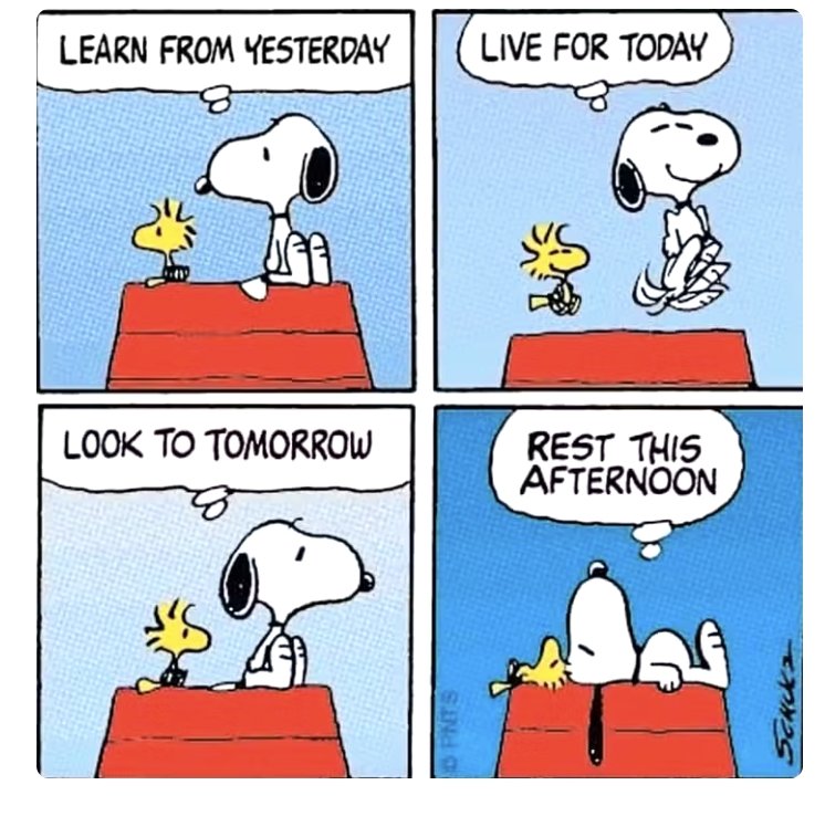 ynxxsrule's tweet photo. @snoopyhero53 https://t.co/vOgKe1QOm7