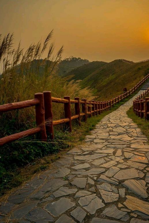 ColeRacing999's tweet photo. Every Sunday night my brain reminds me that Monday exists - Yên T. Quynh https://t.co/10DERZm0iN