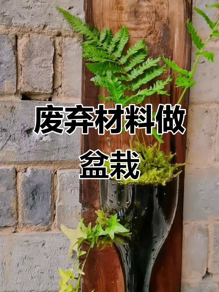ppvikkkycilo's tweet photo. Turned an old glass jar into a cute planter for my succulents! Upcycling = tiny wins for both home and planet. https://t.co/sH5FEfpnTU