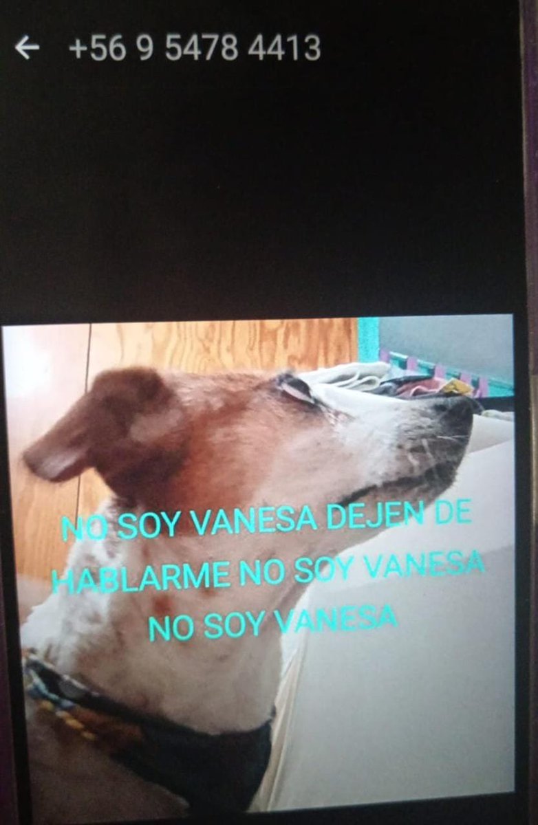 likitsuki's tweet photo. chicos aquí os dejo un enlace para que os unáis a un canal de whatsapp donde estamos difundiendo todo, necesitamos que llegue a mucha gente
https://t.co/gK3LCSthd5
y aquí dejaré las últimas cositas que me han ido mostrando para que se difundan mejor https://t.co/vOROSFnbeX